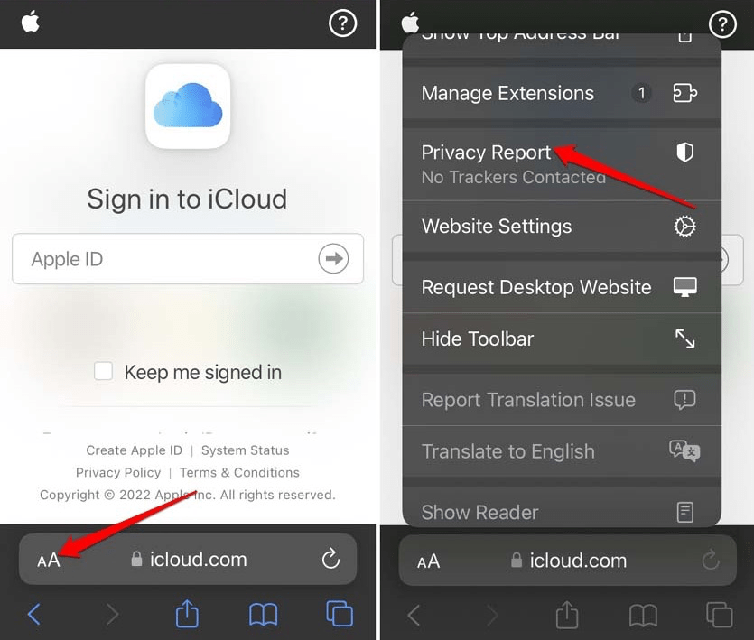 Check Privacy Report on Safari iPhone