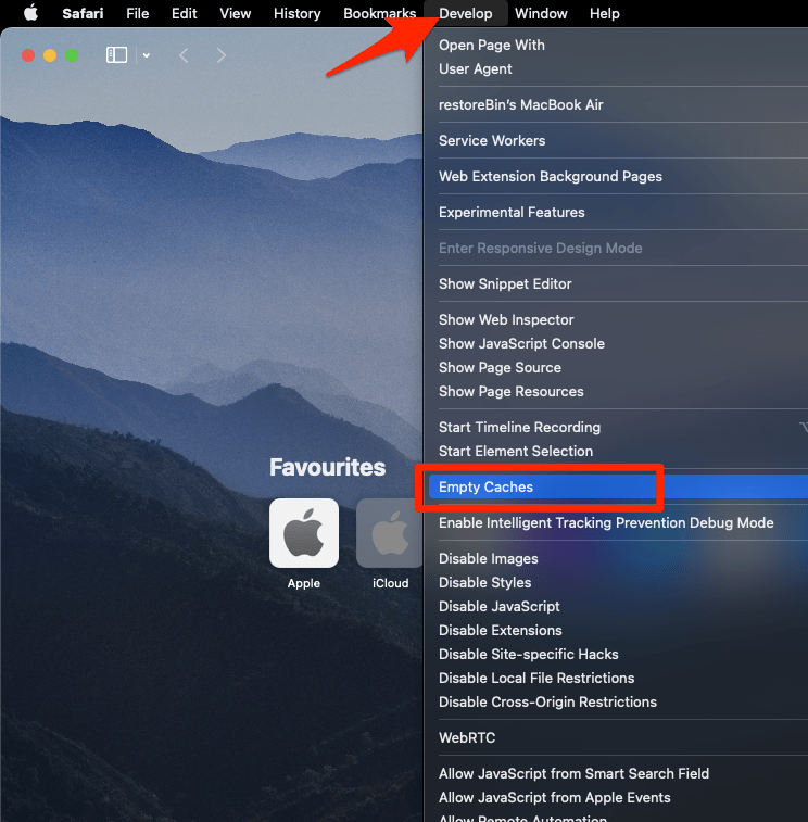 Empty Caches from Develop menu in Safari browser